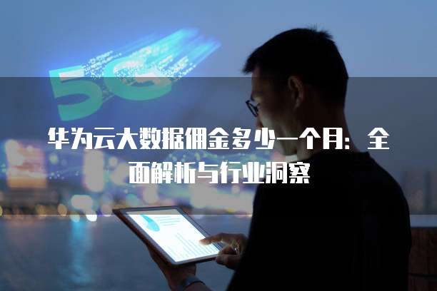 华为云大数据佣金多少一个月:全面解析与行业洞察