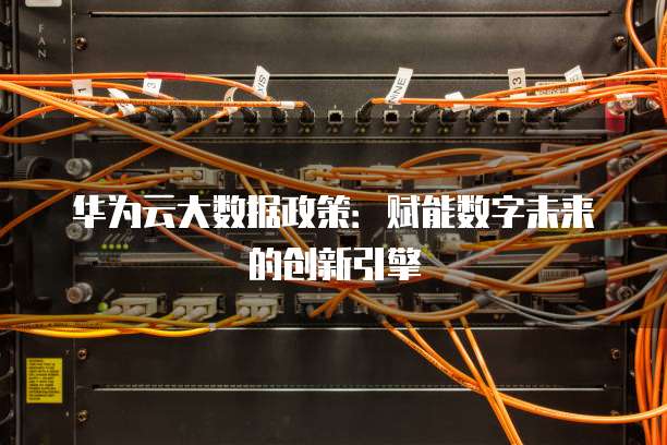 华为云大数据政策：赋能数字未来的创新引擎
