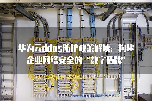 华为云ddos防护政策解读:构建企业网络安全的“数字盾牌”