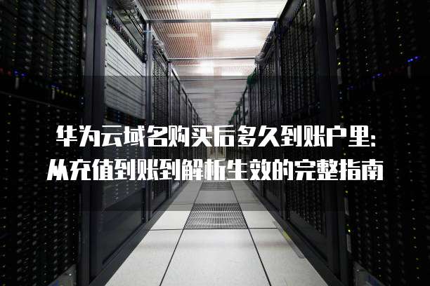 华为云域名购买后多久到账户里:从充值到账到解析生效的完整指南