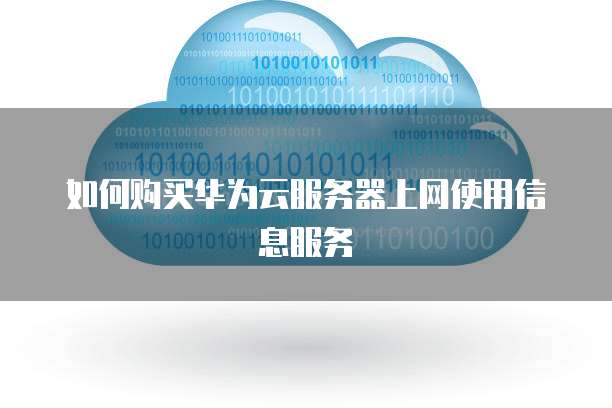 如何购买华为云服务器上网使用信息服务