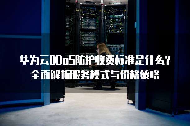 华为云DDoS防护收费标准是什么？全面解析服务模式与价格策略