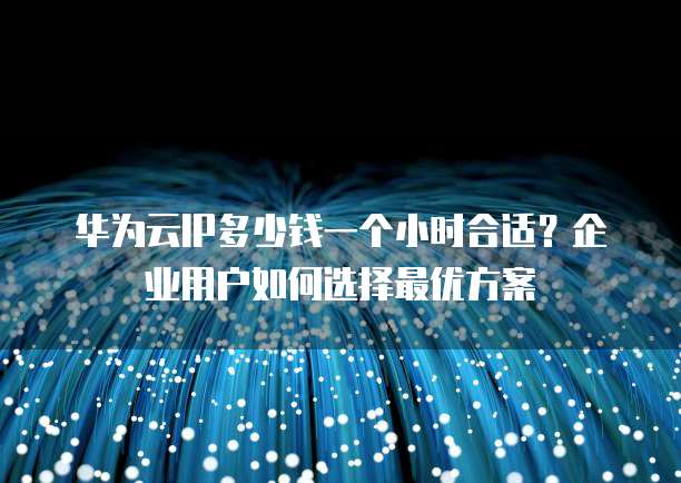 华为云IP多少钱一个小时合适?企业用户如何选择最优方案