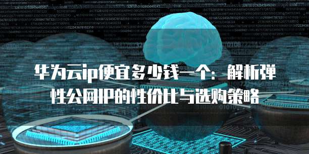 华为云ip便宜多少钱一个：解析弹性公网IP的性价比与选购策略