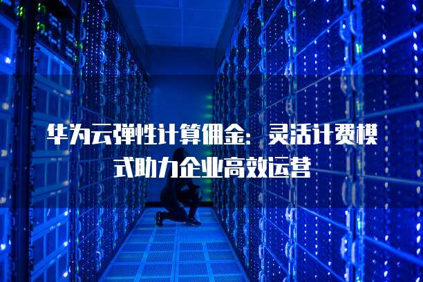 华为云弹性计算佣金：灵活计费模式助力企业高效运营
