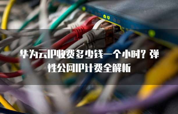 华为云IP收费多少钱一个小时?弹性公网IP计费全解析