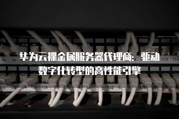 华为云裸金属服务器代理商:驱动数字化转型的高性能引擎