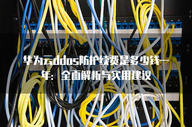 华为云ddos防护续费是多少钱一年:全面解析与实用建议