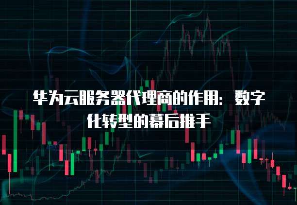 华为云服务器代理商的作用:数字化转型的幕后推手