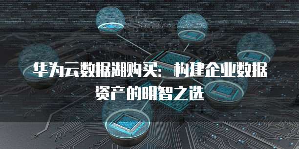 华为云数据湖购买：构建企业数据资产的明智之选