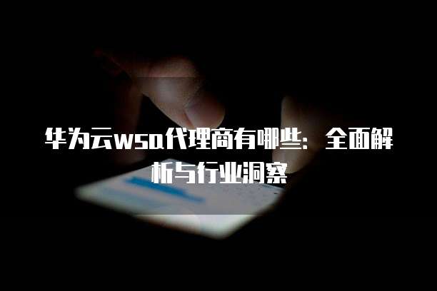 华为云wsa代理商有哪些:全面解析与行业洞察