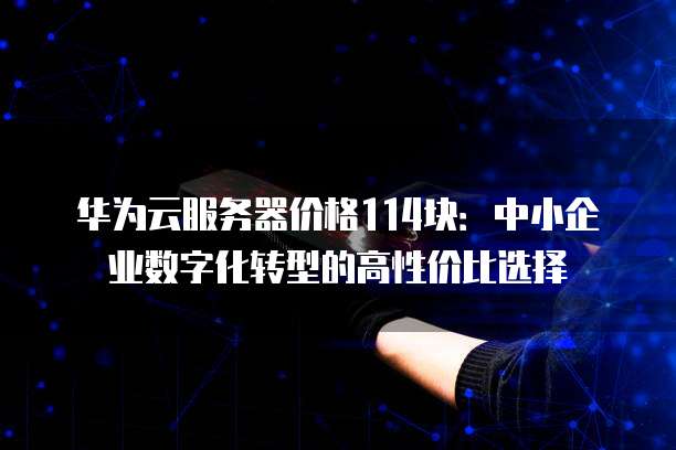 华为云服务器价格114块:中小企业数字化转型的高性价比选择