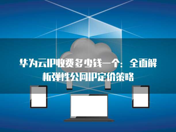 华为云IP收费多少钱一个:全面解析弹性公网IP定价策略