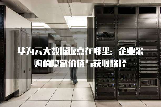 华为云大数据返点在哪里：企业采购的隐藏价值与获取路径