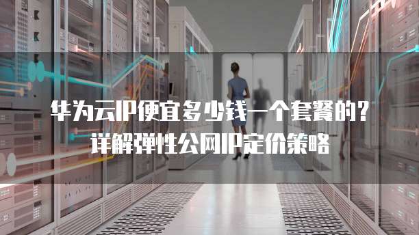 华为云IP便宜多少钱一个套餐的？详解弹性公网IP定价策略