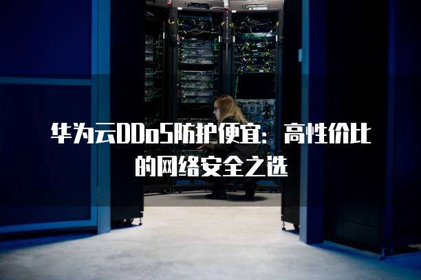 华为云DDoS防护便宜:高性价比的网络安全之选