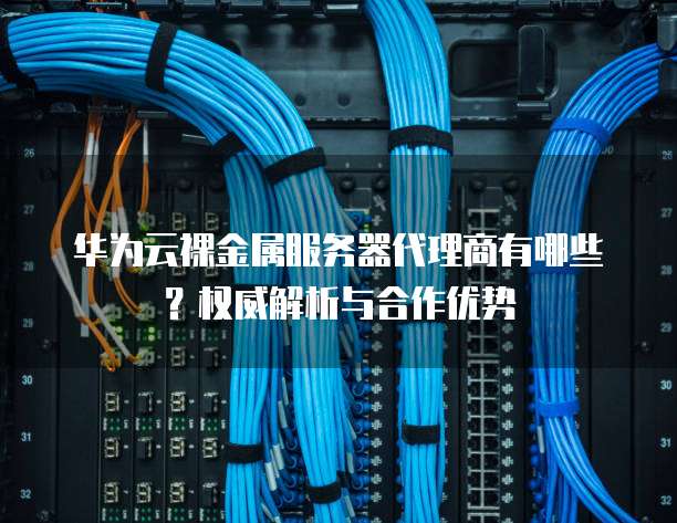 华为云裸金属服务器代理商有哪些?权威解析与合作优势