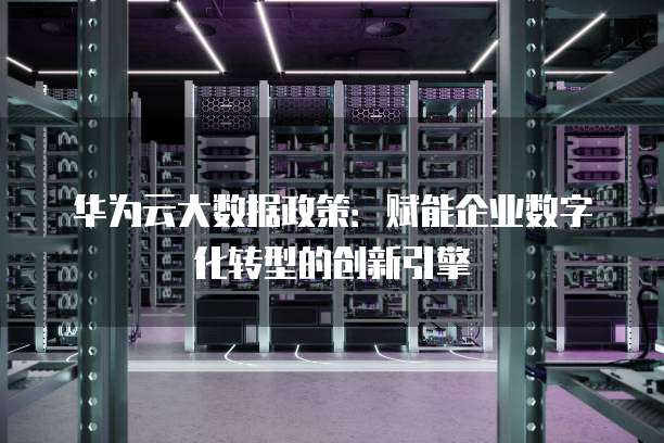 华为云大数据政策:赋能企业数字化转型的创新引擎
