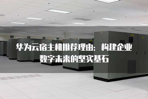 华为云宿主机推荐理由:构建企业数字未来的坚实基石