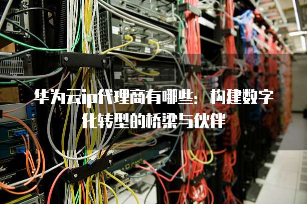 华为云ip代理商有哪些:构建数字化转型的桥梁与伙伴