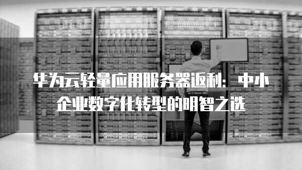 华为云轻量应用服务器返利：中小企业数字化转型的明智之选