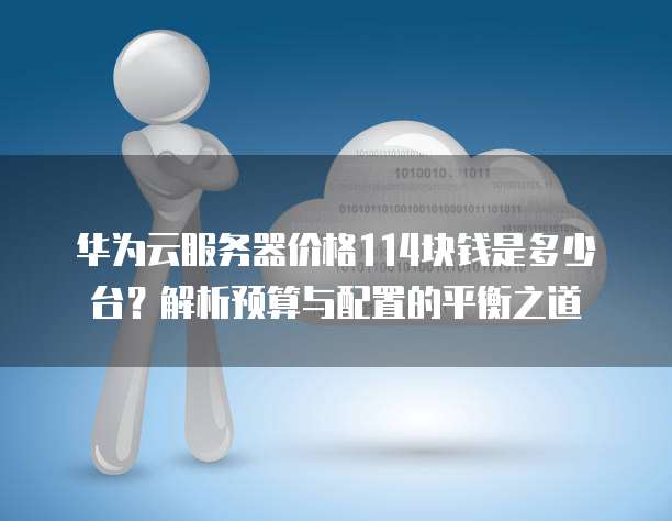 华为云服务器价格114块钱是多少台？解析预算与配置的平衡之道