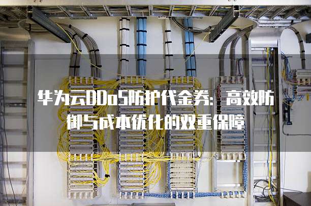 华为云DDoS防护代金券:高效防御与成本优化的双重保障