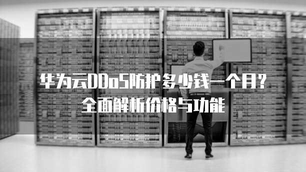 华为云DDoS防护多少钱一个月?全面解析价格与功能