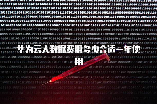 华为云大数据费用多少合适一年使用