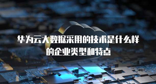 华为云大数据采用的技术是什么样的企业类型和特点