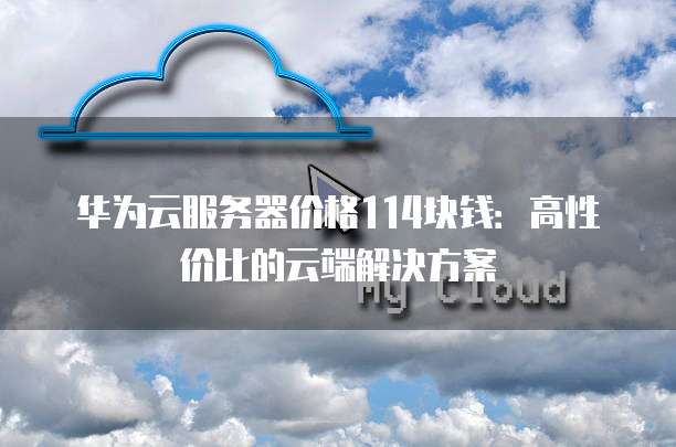 华为云服务器价格114块钱:高性价比的云端解决方案