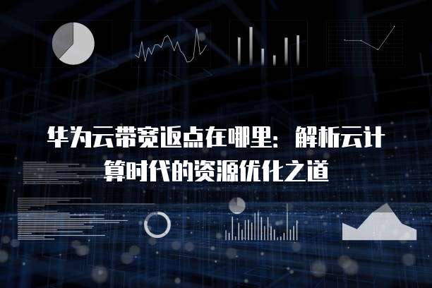 华为云带宽返点在哪里:解析云计算时代的资源优化之道