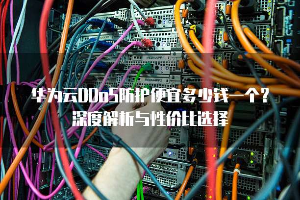 华为云DDoS防护便宜多少钱一个?深度解析与性价比选择