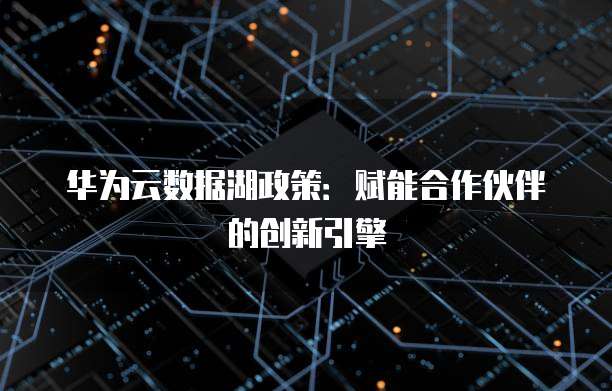 华为云数据湖政策：赋能合作伙伴的创新引擎