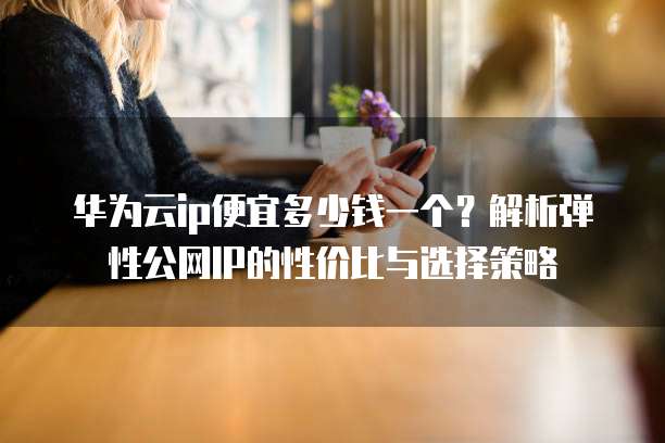 华为云ip便宜多少钱一个?解析弹性公网IP的性价比与选择策略