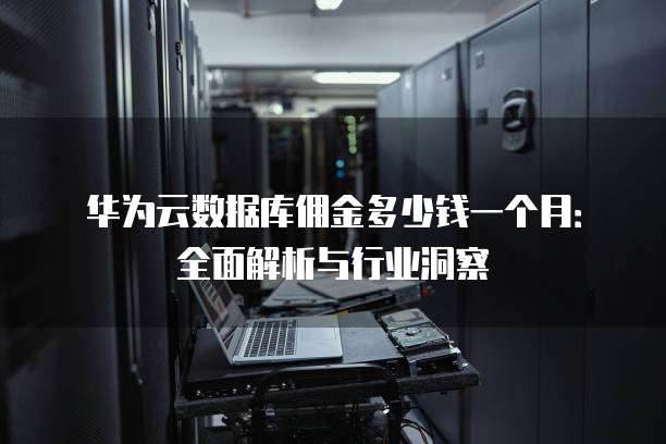 华为云数据库佣金多少钱一个月:全面解析与行业洞察