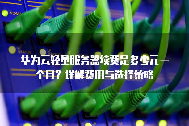 华为云轻量服务器续费是多少元一个月？详解费用与选择策略