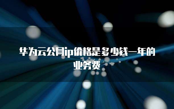 华为云公网ip价格是多少钱一年的业务费