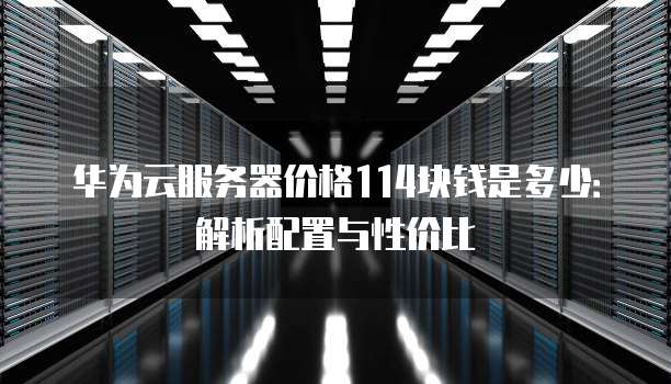 华为云服务器价格114块钱是多少:解析配置与性价比