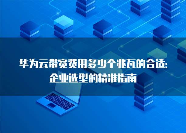 华为云带宽费用多少个兆瓦的合适:企业选型的精准指南