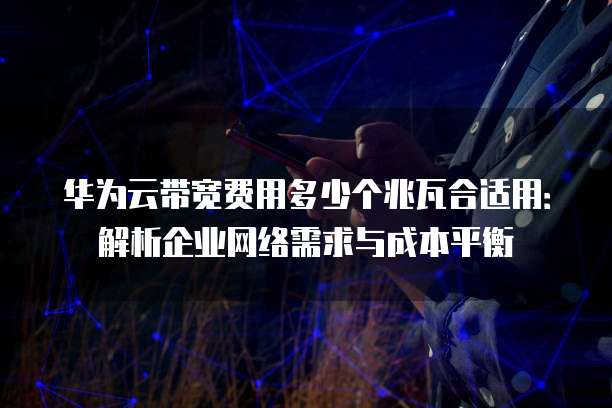华为云带宽费用多少个兆瓦合适用:解析企业网络需求与成本平衡