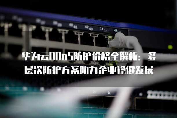 华为云DDoS防护价格全解析：多层次防护方案助力企业稳健发展