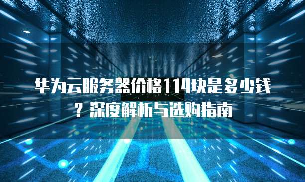 华为云服务器价格114块是多少钱?深度解析与选购指南