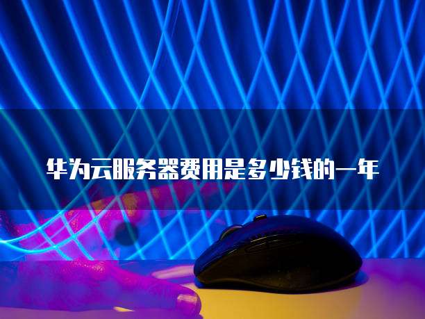 华为云服务器费用是多少钱的一年