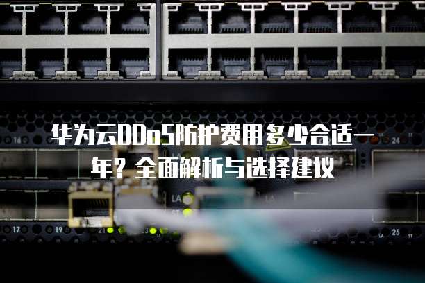 华为云DDoS防护费用多少合适一年？全面解析与选择建议