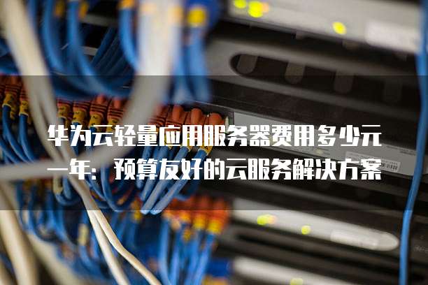 华为云轻量应用服务器费用多少元一年:预算友好的云服务解决方案