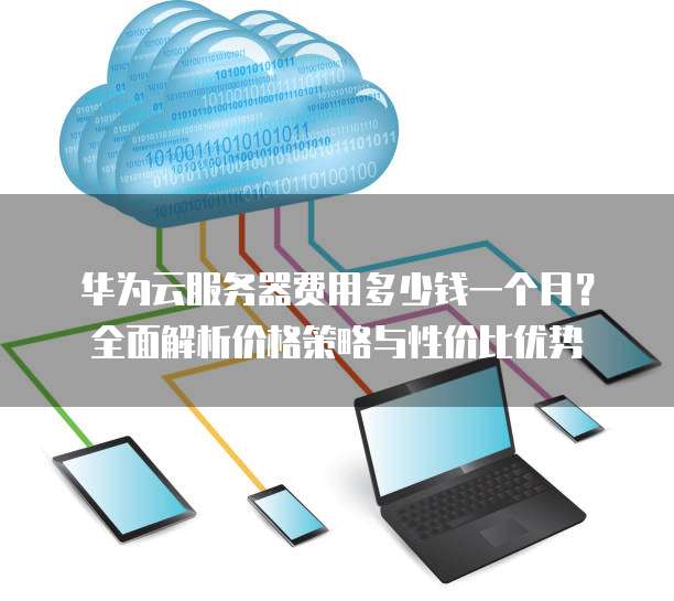 华为云服务器费用多少钱一个月?全面解析价格策略与性价比优势