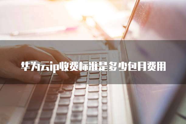 华为云ip收费标准是多少包月费用