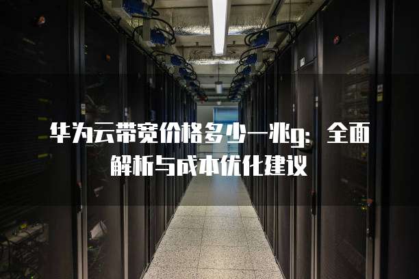 华为云带宽价格多少一兆g:全面解析与成本优化建议