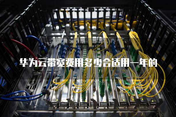 华为云带宽费用多少合适用一年的